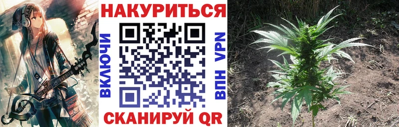 Где купить наркоту Володарск Конопля МЕФ Cocaine Галлюциногенные грибы ГАШ