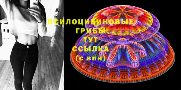 прущая мука Богородицк
