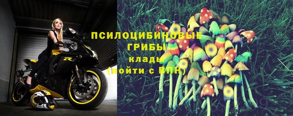 каннабис Богданович