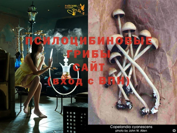 синтетический гашиш Богородск