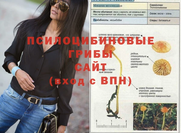 прущая мука Богородицк