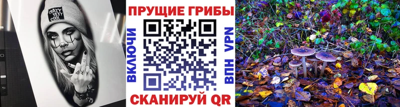 blacksprut tor Володарск Псилоцибиновые грибы MAGIC MUSHROOMS